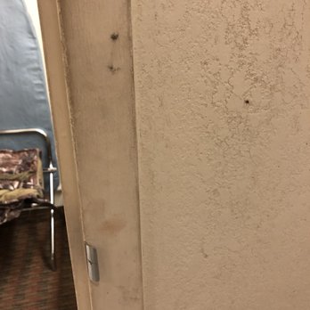 Quality Inn - Hotels Near Me - Newport, Tennessee Quality Inn - Hotels Near Me - Newport, Tennessee