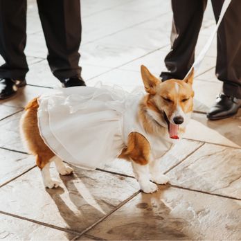 Fallbrook Estate by Wedgewood Weddings - Venues & Event Spaces Near Me - Fallbrook, California
