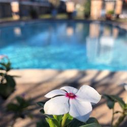 Treasure Bay Apartments