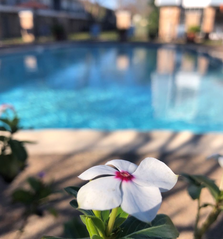 TREASURE BAY APARTMENTS Updated May 2024 14 Photos 415 Garland Dr