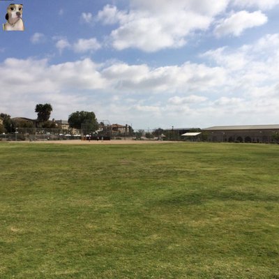 SANTA VENETIA PARK - Updated August 2024 - 33 Photos & 12 Reviews