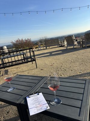 Terra Vina Wines Vineyard by null