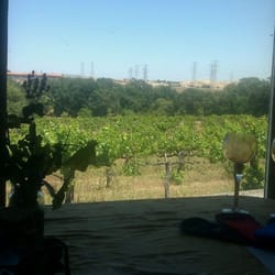 Tenuta Vineyards
