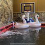 Photo of Integrity Pools