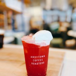Andytown Coffee Roasters - Raspberry Plover