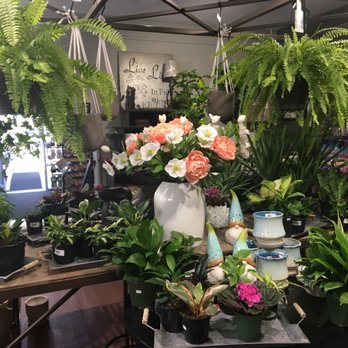 Vanhoff 's Garden Center - Lots of Ferns! - Gardeners Near Me - Coeur D Alene, Idaho