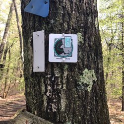 Willowdale State Forest - Trail markings in Willowdale forest. Feels off the beaten path.