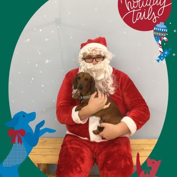 Petco - Wessie with Santa, PETCO-legacy place palm beach gardens.... - Pet Training Near Me - Palm Beach Gardens, Florida Petco - Wessie with Santa, PETCO-legacy place palm beach gardens.... - Pet Training Near Me - Palm Beach Gardens, Florida