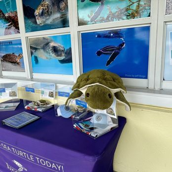 Loggerhead Marinelife Center - Outside the gift shop - Community Service/Non-Profit Near Me - Juno Beach, Florida