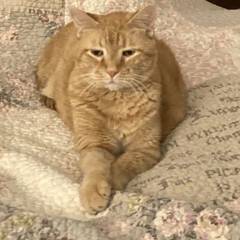 Hollywood Feed - My Charles Edward @ 16 - Pet Stores Near Me - McKinney, Texas