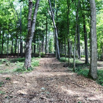 Grounded Land Solutions - A trail we created wide enough for this client's truck, ATV, or just a beautiful hike! - Tree Services Near Me
