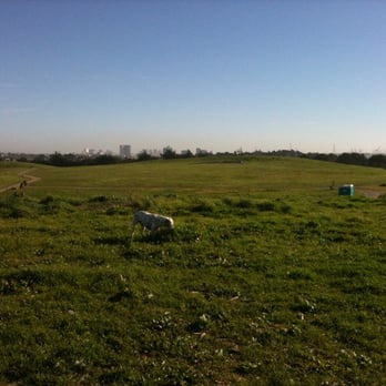 Cesar Chavez Park - Dog park - Parks Near Me - Berkeley, California Cesar Chavez Park - Dog park - Parks Near Me - Berkeley, California