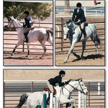 Leigh-Ann's Riding Academy - Horseback Riding Near Me Leigh-Ann's Riding Academy - Horseback Riding Near Me
