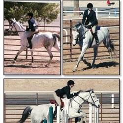 Leigh-Ann's Riding Academy