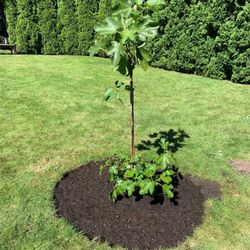 Hovde Landscaping