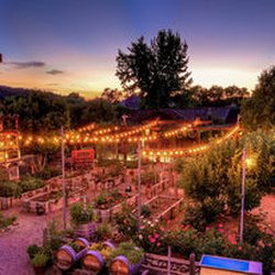 Napa De Oro Winery