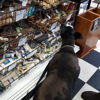 Pet Mania - Pet Stores Near Me - Wake Forest, North Carolina