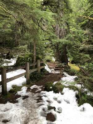 Watson Falls by null