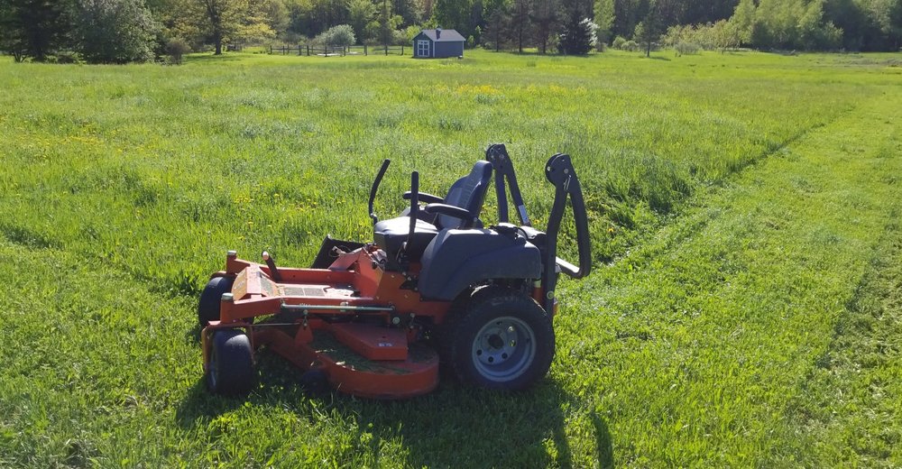 GRASS ASSASSINS Updated July 2024 Remsen, New York Landscaping