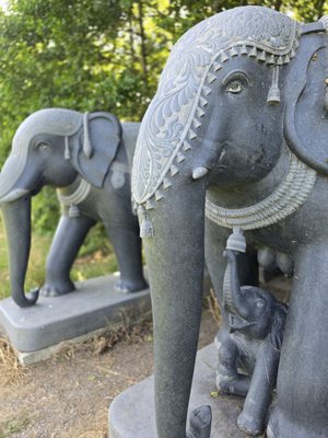 Victor's Way by null