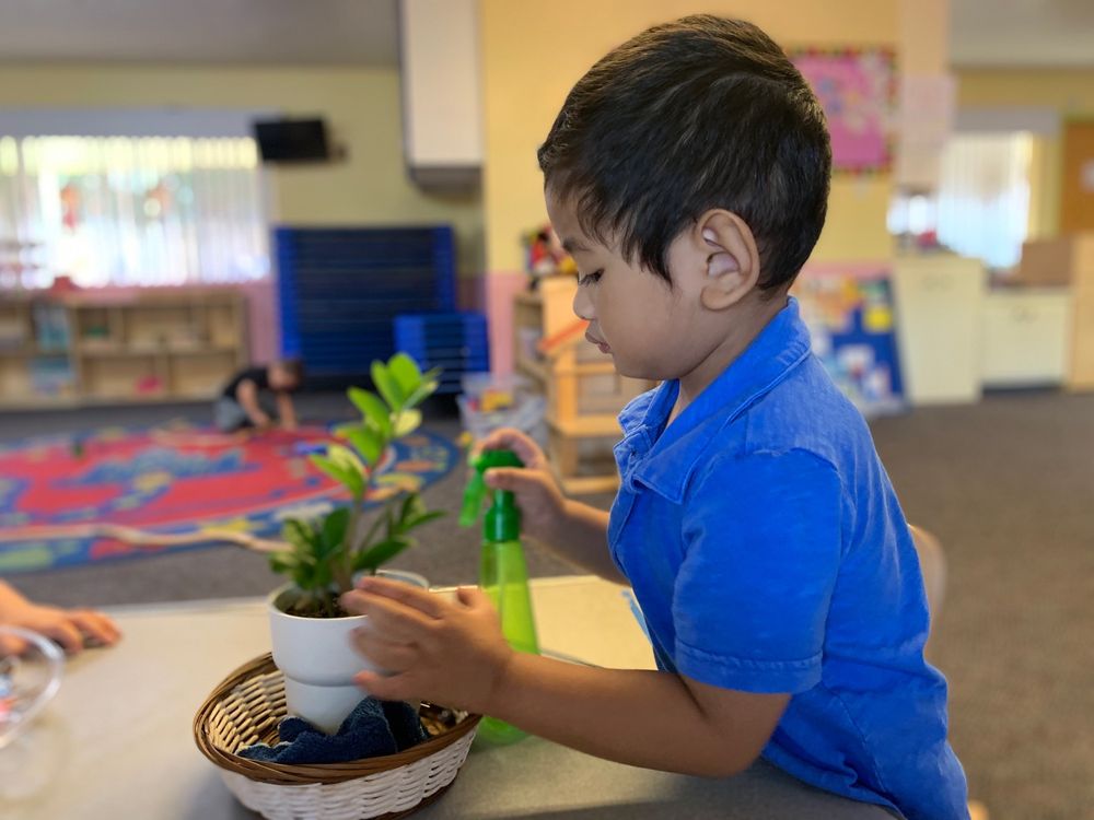 Acacia Montessori Infant & Preschool - childcare center in Fullerton, CA