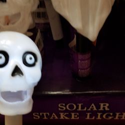 Dollar Tree - Solar Stake Lights $1