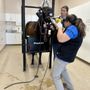 Durango Equine Veterinary Clinic