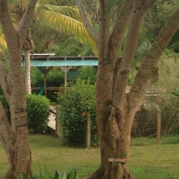 La Finca Caribe - Hotels Near Me - Vieques, Puerto Rico