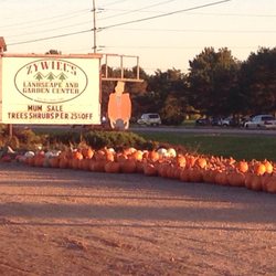 Zywiec's Garden Center - Pumpkins too