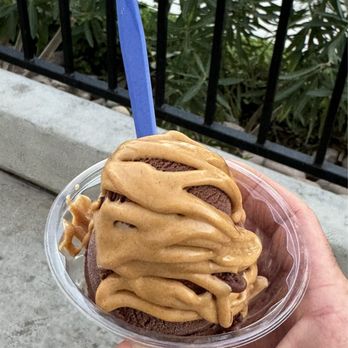 Handel's Homemade Ice Cream - Chocolate almond milk ice cream with peanut butter - Ice Cream & Frozen Yogurt Near Me - Santee, California Handel's Homemade Ice Cream - Chocolate almond milk ice cream with peanut butter - Ice Cream & Frozen Yogurt Near Me - Santee, California
