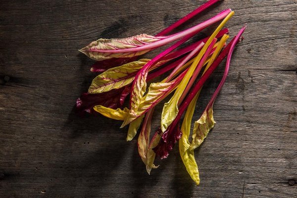 The Chef's Garden by null