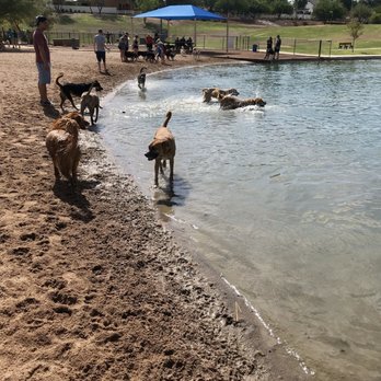 Cosmo Dog Park - Dog beach - Dog Parks Near Me - Gilbert, Arizona