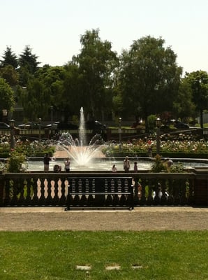 Peninsula Park Rose Garden by null