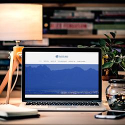 SpyderWeb Dev - https://www.davidhillfinancial.com/