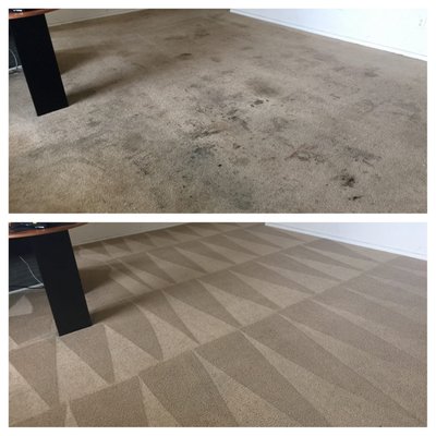 Carpet cleaning and tile and grout cleaning - This carpet cleaning job was done by the team a couple years ago! Imagine what we can do for you now.