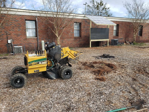 B&A Quality Services - tree service in Mount Hope, AL