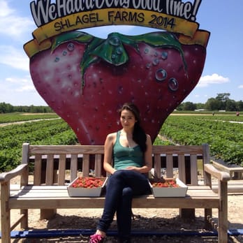 Shlagel Farms - Berry happy. - Farmers Market Near Me - Waldorf, Maryland Shlagel Farms - Berry happy. - Farmers Market Near Me - Waldorf, Maryland
