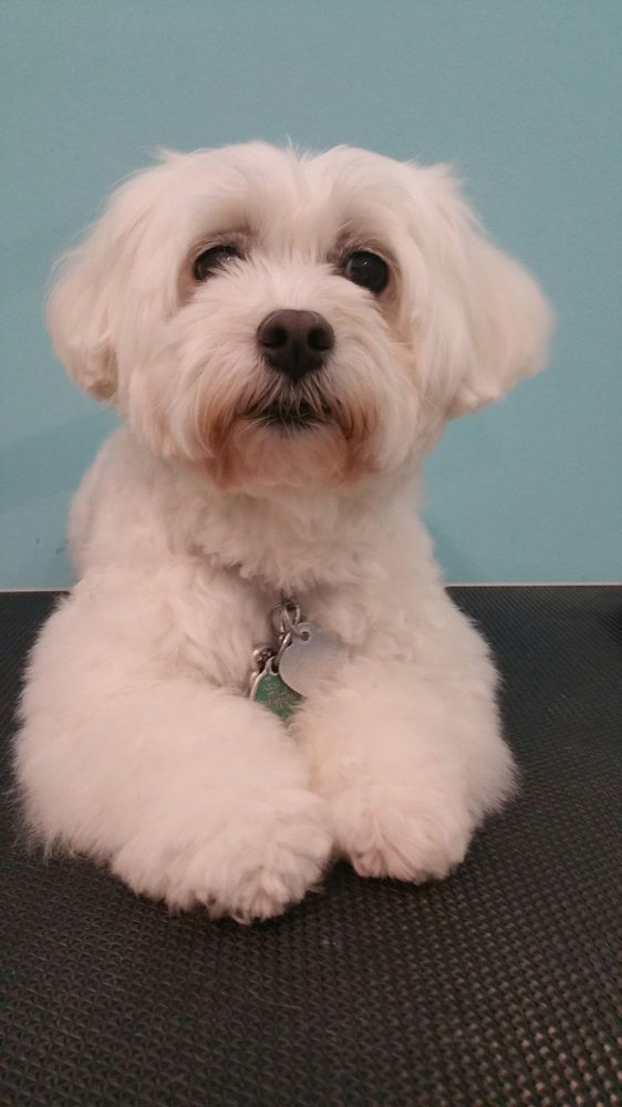 o Jupiter Florida Real Estate For Sale