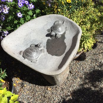 Armstrong Garden Centers - Turtle pond is dry :( - Nurseries & Gardening Near Me - Newport Beach, California
