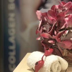 Mithra Sun & Spa - Cabina de colágeno. Estimula tu producción natural de colágeno.