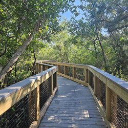 Indian Rocks Beach Nature Preserve