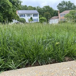 Togo Landscaping