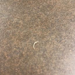 found a fingernail as soon as i sat at my table. found a fingernail as soon as i sat at my table.