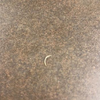 Waffle House - found a fingernail as soon as i sat at my table. - American Near Me - Anderson, Indiana Waffle House - found a fingernail as soon as i sat at my table. - American Near Me - Anderson, Indiana