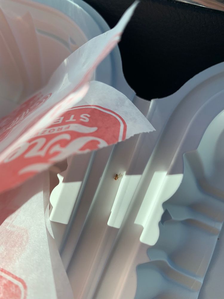 FREDDY’S FROZEN CUSTARD & STEAKBURGERS 15 Photos & 43 Reviews 5009 Cleveland Blvd, Caldwell