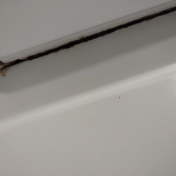 Adrift Hotel - mold in tub - Hotels Near Me - Long Beach, Washington Adrift Hotel - mold in tub - Hotels Near Me - Long Beach, Washington