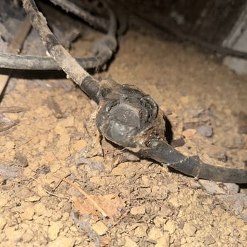 All Wired Up Electrical Services - Melted connection I had replaced. It was fast and affordable. - Electricians Near Me All Wired Up Electrical Services - Melted connection I had replaced. It was fast and affordable. - Electricians Near Me