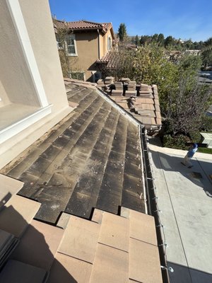 Steve’s Roofing Repair Logo