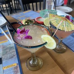Prickly pear marg Prickly pear marg
