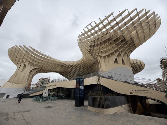 Setas de Sevilla by null